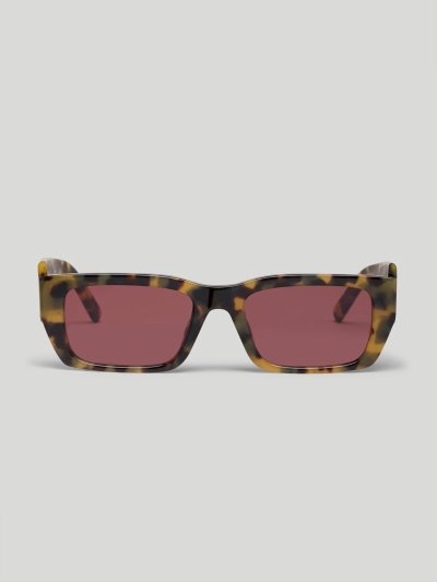 Gafas de Sol Palm Angels Palm Sunglasses Hombre Marrones Moradas | ES-476299